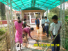 Cleanliness drive at our school.